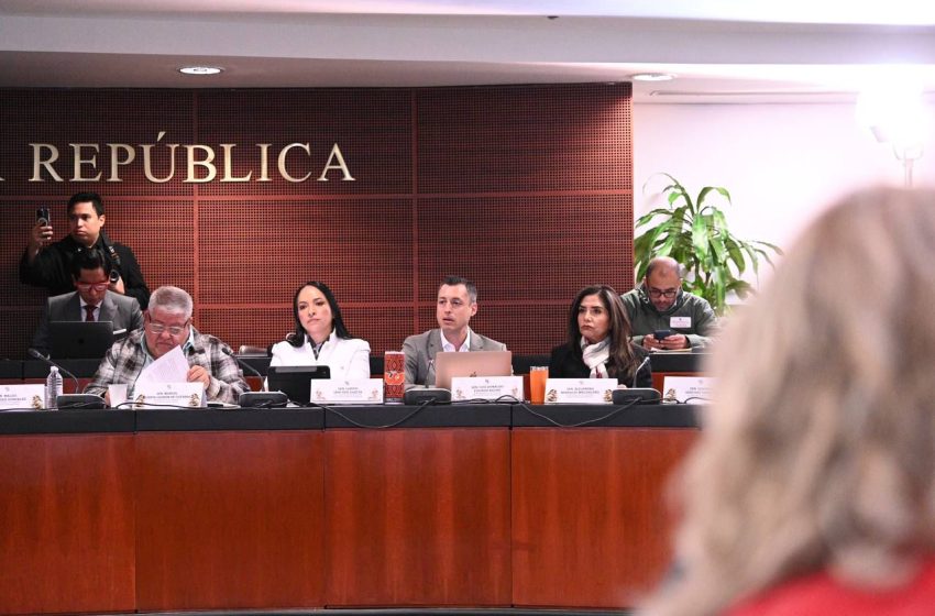  Rechaza Movimiento Ciudadano desaparición de organismos autónomos