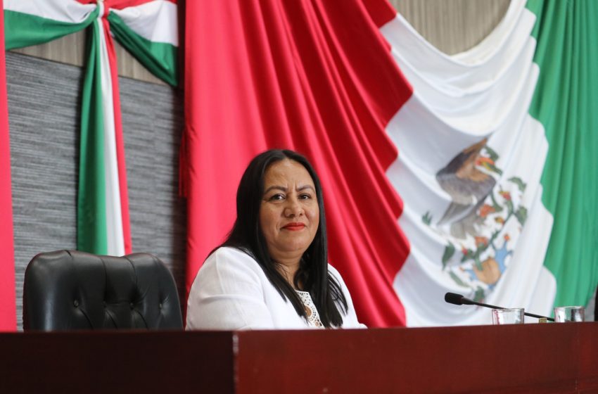  Presenta Jazmín Solano iniciativa a favor del trato digno a los animales y cuidado del medio ambiente