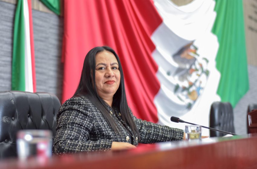  Protección a los derechos humanos y lucha contra la explotación laboral, propone diputada Jazmín Solano López