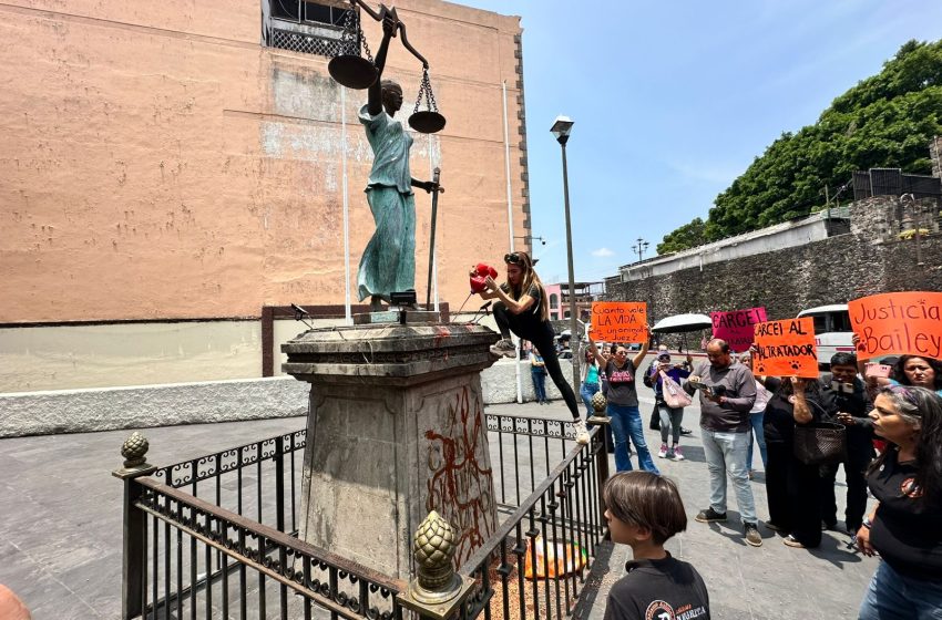  Protestan animalistas tras liberación de responsable de ultimar a perrito “Bayleis”