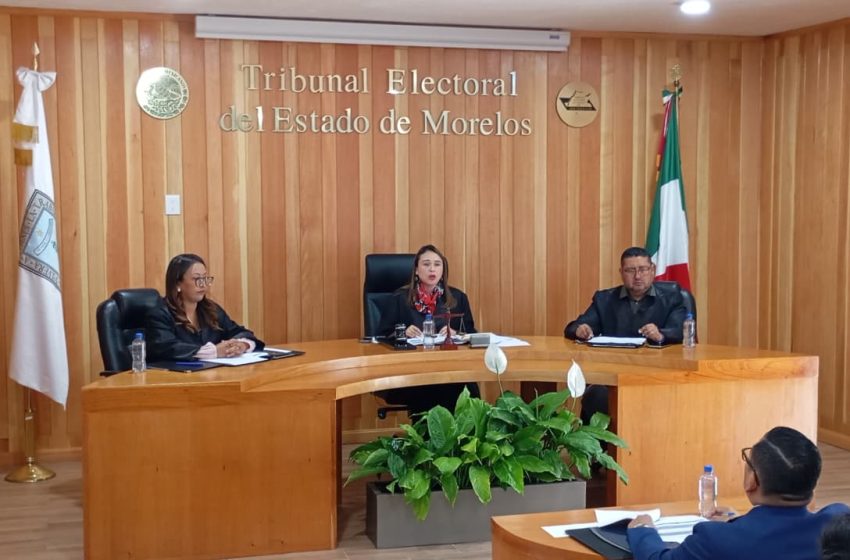  Rinde Ixel Mendoza Informe de actividades en el TEEM