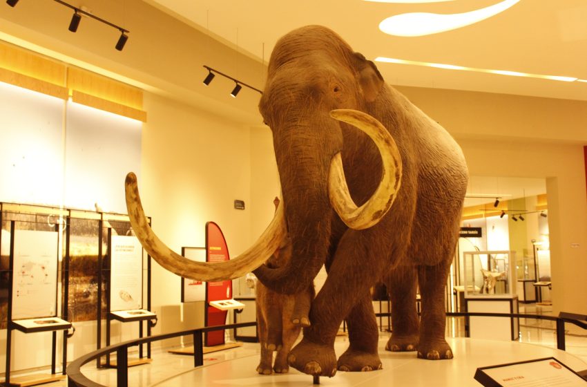  Invita INAH a recorrer Paseos Culturales en abril